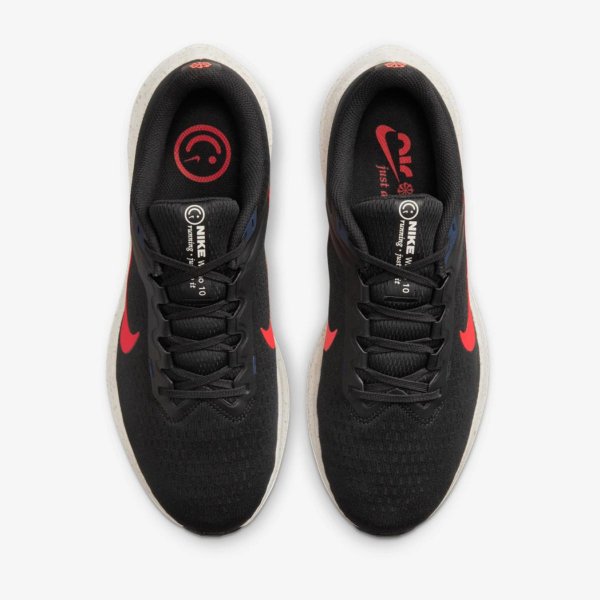 Чоловічі кросівки NIKE AIR WINFLO 10