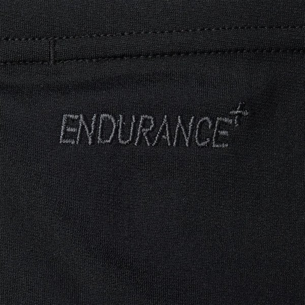 Плавки Speedo ECO END+  ASHT AM BLACK