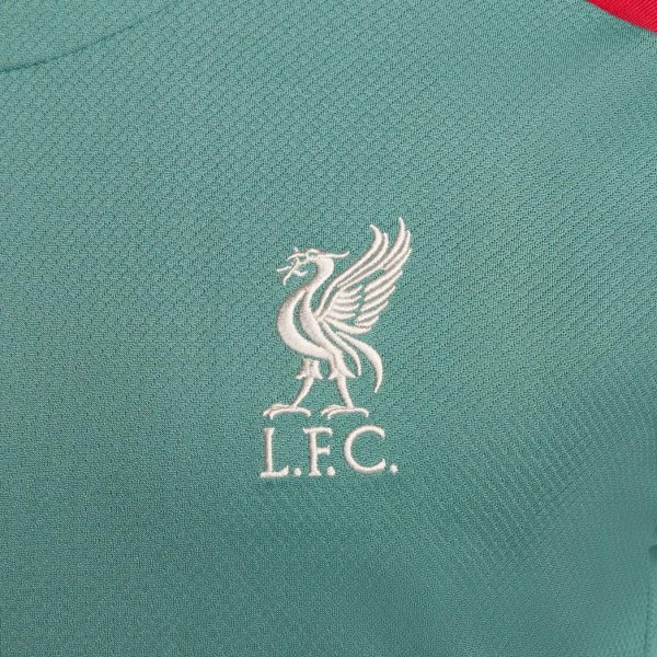 Мужская футболка NIKE LFC M NK DF STRK SS TOP K