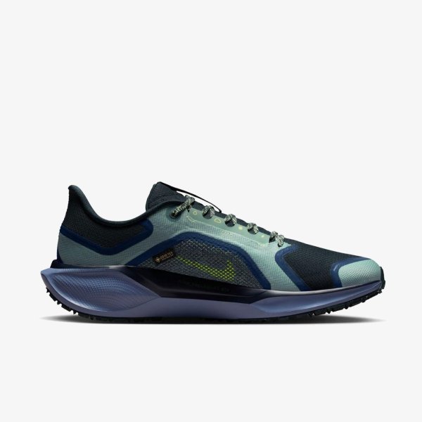 Мужские кроссовки NIKE AIR ZM PEGASUS 41 GTX