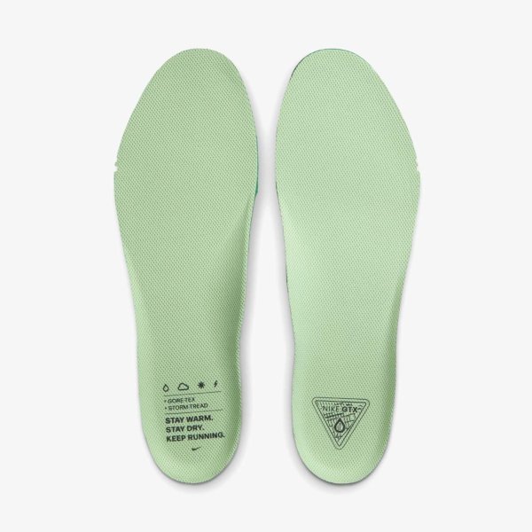 Мужские кроссовки NIKE AIR ZM PEGASUS 41 GTX