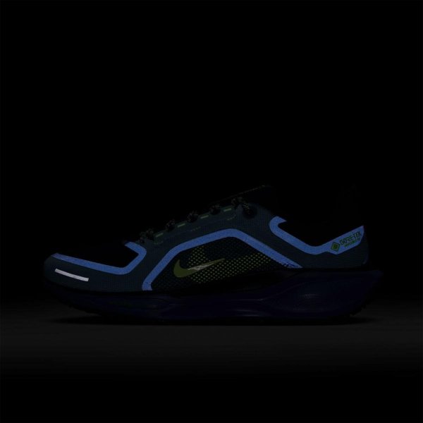 Мужские кроссовки NIKE AIR ZM PEGASUS 41 GTX