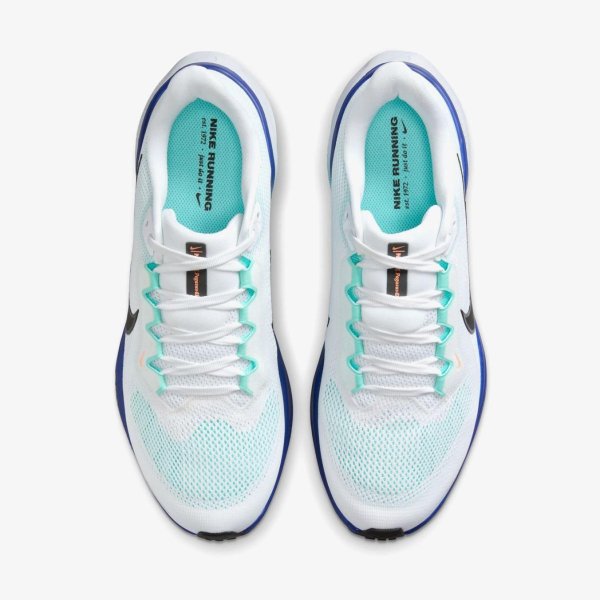 Мужские кроссовки NIKE AIR ZOOM PEGASUS 41