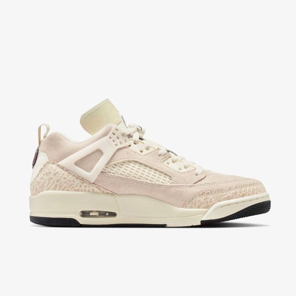 Чоловічі кросівки JORDAN SPIZIKE LOW