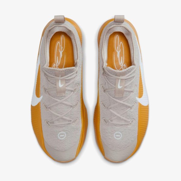 Чоловічі кросівки NIKE LEBRON TR 1