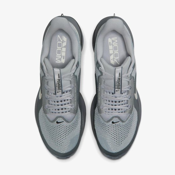 Чоловічі кросівки NIKE PEGASUS PREMIUM