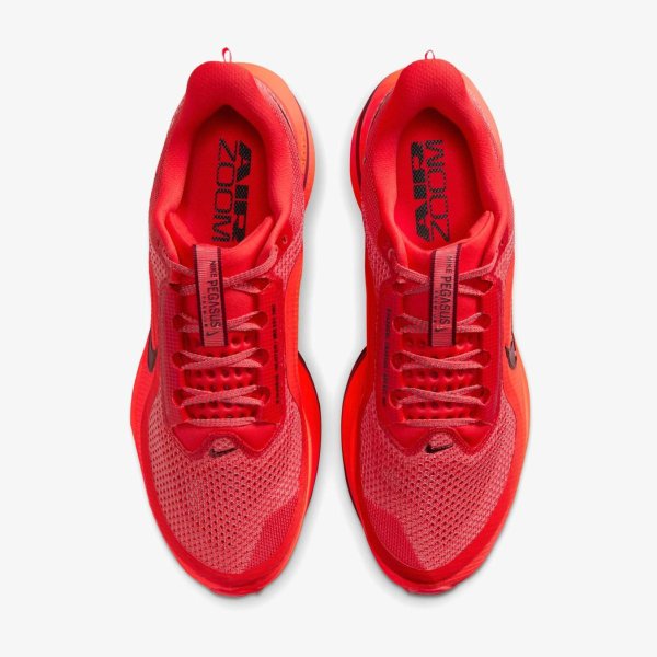 Чоловічі кросівки NIKE PEGASUS PREMIUM