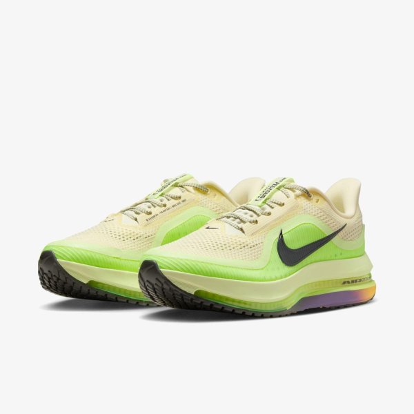 Чоловічі кросівки NIKE PEGASUS PREMIUM