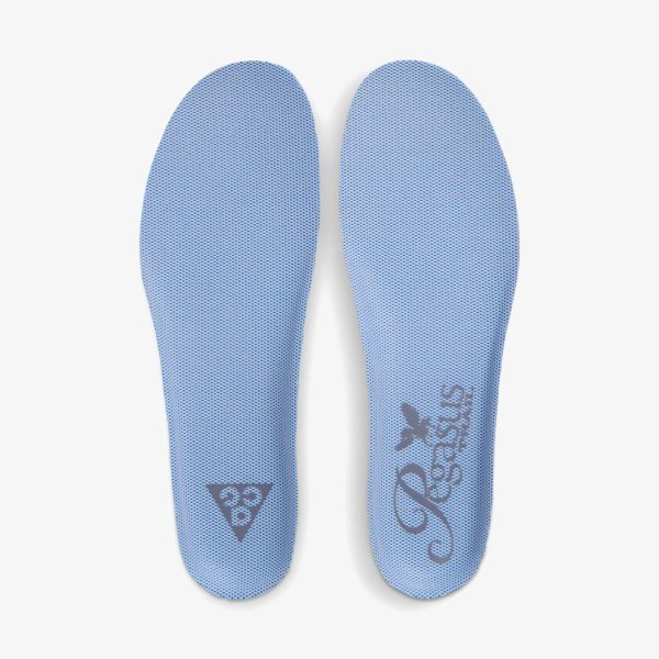 Жіночі кросівки NIKE W ACG PEGASUS TRAIL