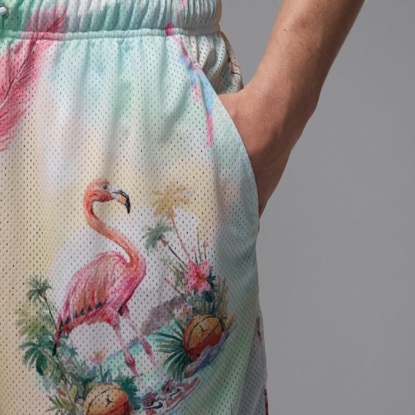 Чоловічі шорти JORDAN M J ESS SMR PK AOP MSH SHORT