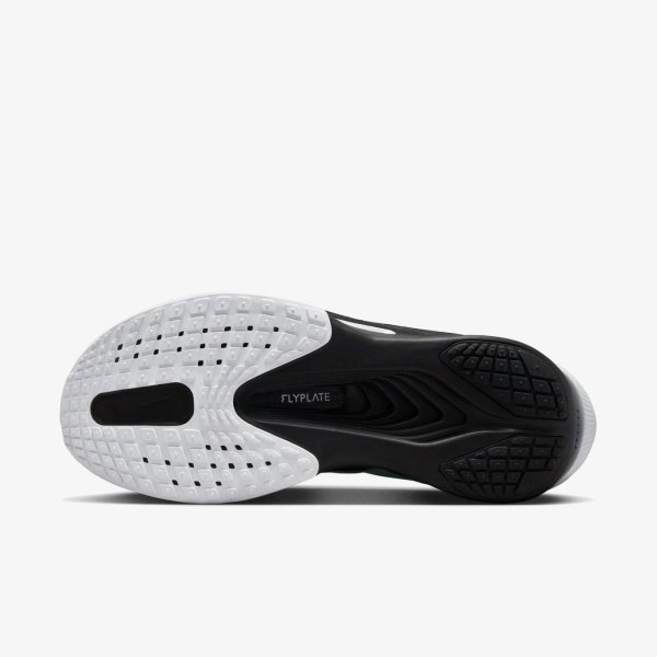 Чоловічі кросівки NIKE ZOOM FLY 6