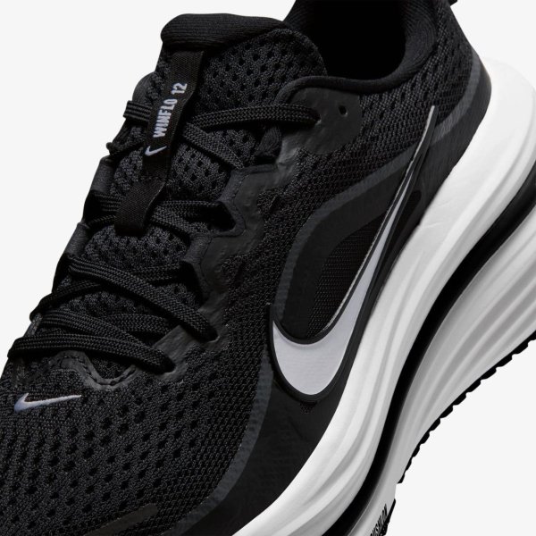 Жіночі кросівки NIKE W AIR WINFLO 12