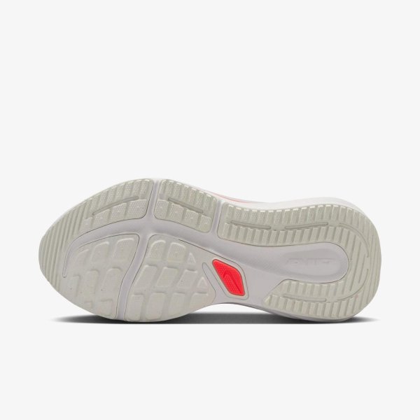 Жіночі кросівки NIKE W AIR WINFLO 12