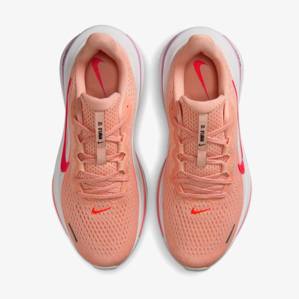 Жіночі кросівки NIKE W AIR WINFLO 12