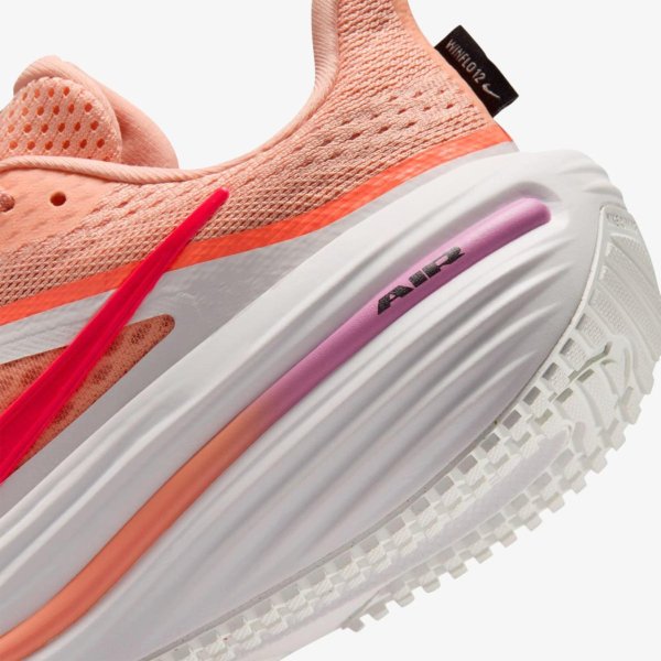 Жіночі кросівки NIKE W AIR WINFLO 12