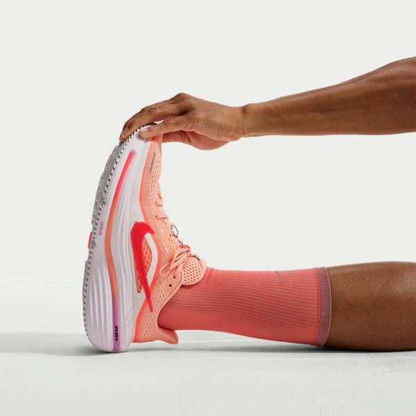 Жіночі кросівки NIKE W AIR WINFLO 12