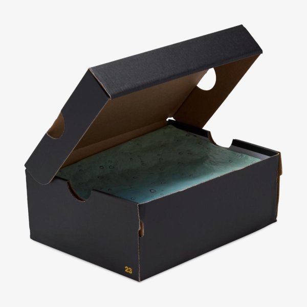 Дитячі кросівки JORDAN 1 LOW ALT SE (PS)